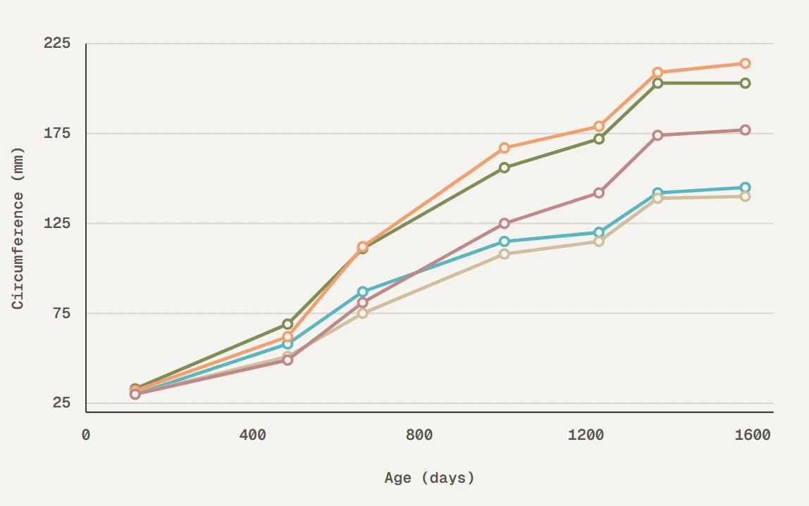 Grouped line chart using walter_white2